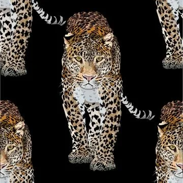 Vector sketch of walks leopard.Seamless leo pattern.Animal print.Wildlife. イラスト素材