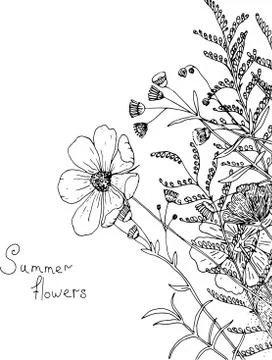 Vector sketch of the wildflowers. Stock Illustration