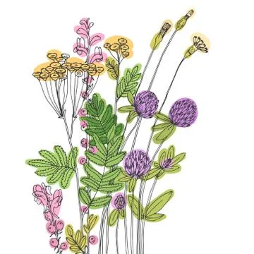 Vector sketch of the wildflowers Stock Illustration
