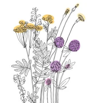 Vector sketch of the wildflowers Illustrazione stock