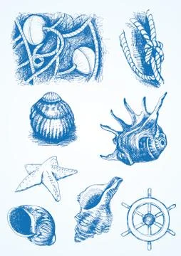 Vector sketching. hand-drawing Illustration sea elements Stock Illustration
