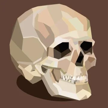 Vector skull on the brown background Stock Illustration