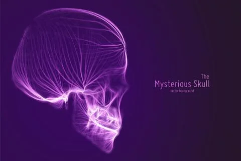 Vector skull constructed with violet lines. Mysterious source of life backgro 스톡 일러스트