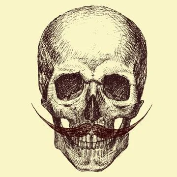 Vector Skull Stock Illustration