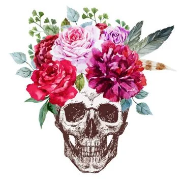 Vector Skull Stock Illustration