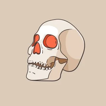 Vector skull isolated on beige background Stock Illustration