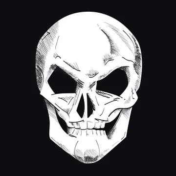 Vector skull isolated on black Stock Illustration