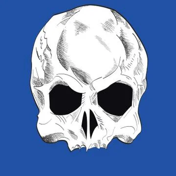 Vector skull isolated on blue  Stock Illustration