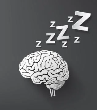Vector of sleep concept with brain. Stock Illustration