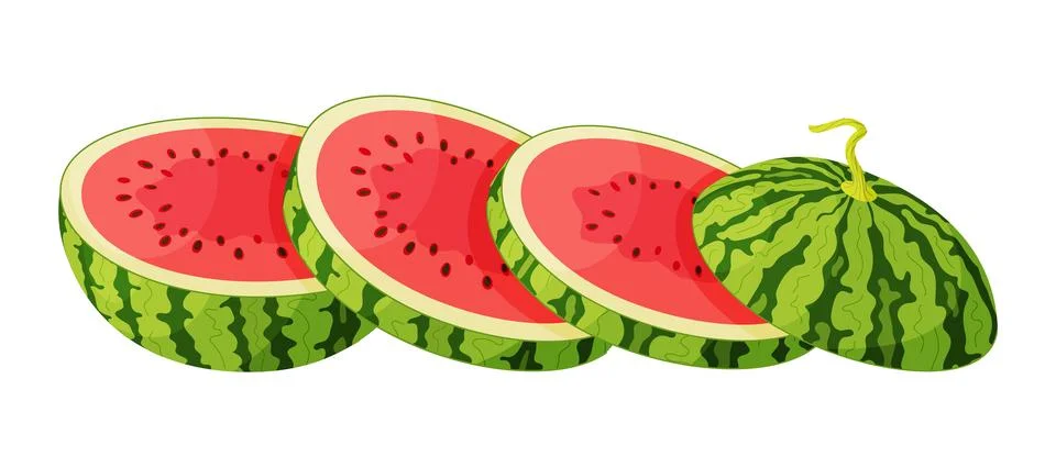 Vector Sliced watermelon. Large round slices red watermelon. Hand drawn flat Stock Illustration