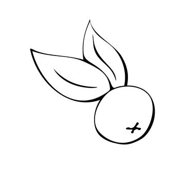 Vector small hand-drawn abstract contour berry with leaves. Rowan berries, vi Stock Illustration