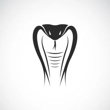 Vector of snake head design on white background. Animals. Reptile. Cobra logo イラスト素材