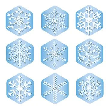 Vector snowflakes on pieces of ice Illustrazione stock