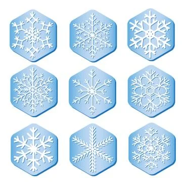 Vector snowflakes on pieces of ice Illustrazione stock