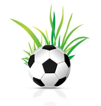 Vector soccer ball Stock Illustration