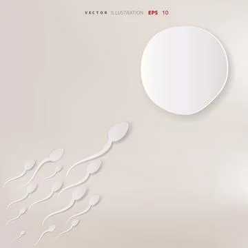 Vector spermatozoons, floating to ovule Stock Illustration