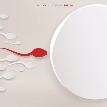 Vector spermatozoons, floating to ovule Stock Illustration