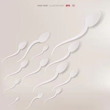 Vector spermatozoons, floating to ovule Stock Illustration
