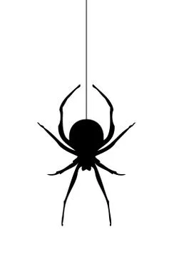Vector Spider Silhouette Stock Illustration