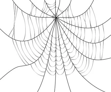 Vector spider web Stock Illustration