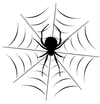 Vector Spider On the Web Stock Illustration
