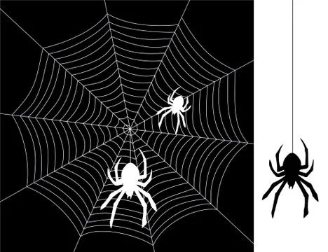 Vector spiders and web Stock Illustration