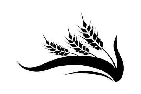 Vector Spikelet isolated on white background. Spica plant. Wheat, rice, rye e Stock Illustration