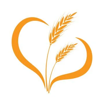 Vector Spikelet isolated on white background. Spica plant. Wheat, rice, rye e Stock Illustration