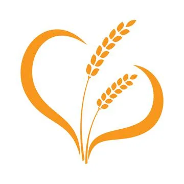 Vector Spikelet isolated on white background. Spica plant. Wheat, rice, rye e Illustrazione stock