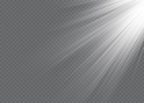 Vector spotlight. Light effect. Illustrazione stock