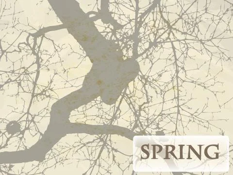 Vector spring  background with tree and grunge texture Stock Illustration