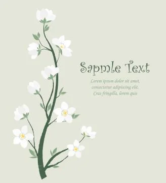 Vector spring blossom Stock Illustration