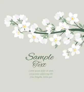 Vector spring blossom Stock Illustration