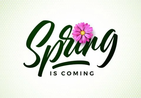 Vector spring is coming illustration with beautiful pink flower on white Stock Illustration