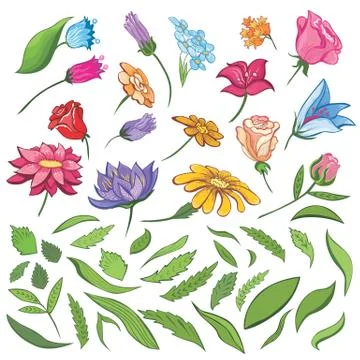 Vector Spring Flowers and Leaves Set Stock Illustration