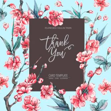 Vector spring greeting card with pink blooming branches Stock Illustration