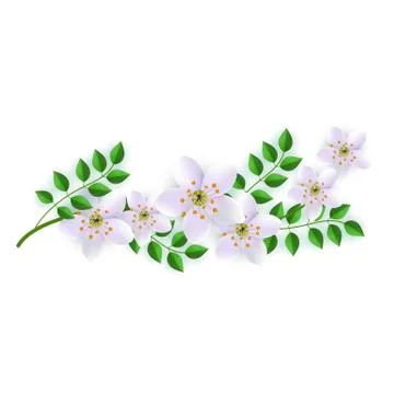 Vector spring pink flowers with leaves pattern Illustrazione stock