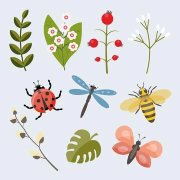 Vector Spring set of cute insects and plant branches Illustration for postcar Stock Illustration