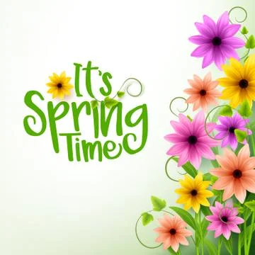 Vector Spring Time Text in White Background Illustrazione stock