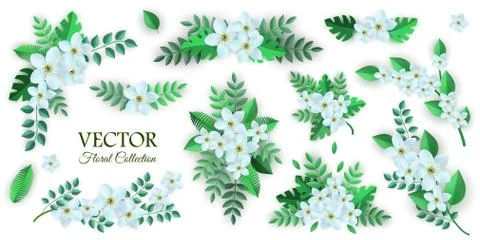 Vector spring white flowers with leaves pattern Illustrazione stock