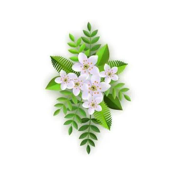Vector spring white flowers with leaves pattern Stockillustratie