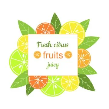 Vector square frame with citrus Illustrazione stock
