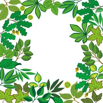 Vector square frame with different leaves. Stock Illustration