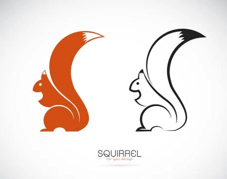 Vector of squirrel design on white background. Mammal. Animals. Stockillustratie