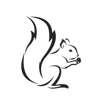 Vector of squirrel design on white background. Easy editable layered vector i Stock Illustration