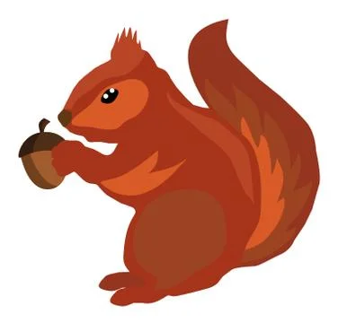 Vector Squirrel Stock Illustration