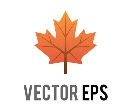 Vector star-shaped leaf of the maple tree icon Stock Illustration