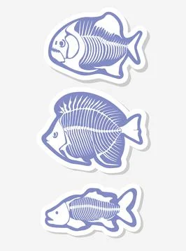 Vector sticker set with fish skeleton isolated on a white background. Stock Illustration