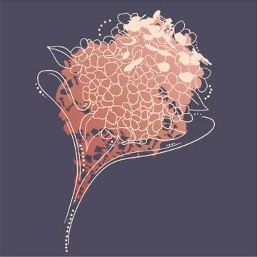 Vector stock illustration of hydrangea. Delicate leaves for the bride s bouqu Stock Illustration