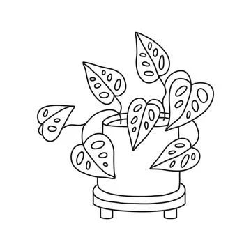 Vector stock illustration with single object: , home plant, hand drawn, doo.. Stock Illustration